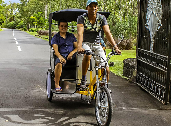 Top down tricycle cheap