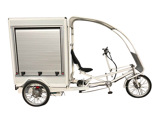 Velo Cargo Trike