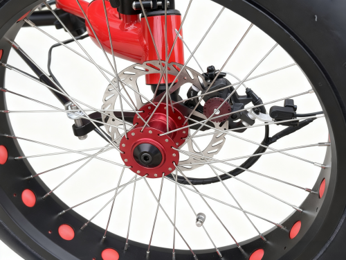 Close-up of 20x4.0 fat tires on TrikExplor F320E 3-wheel electric trike